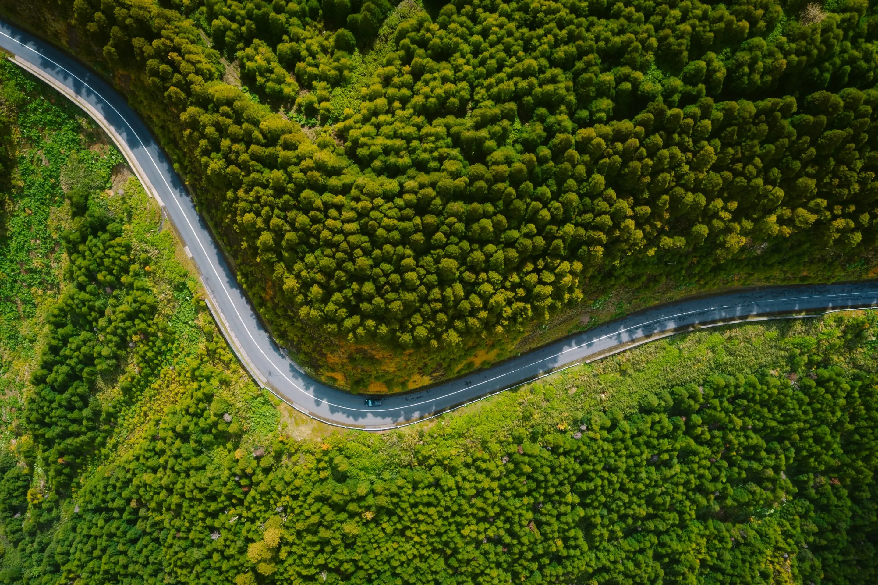 UX Portfolio hero background